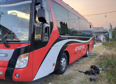Cho Thuê Xe 35 Chỗ Ở Bến Cát Bình Dương: Trải Nghiệm An Toàn Và Thoải Mái