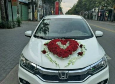 GIÁ THUÊ XE HOA NGÀY CƯỚI Ở THUẬN AN BÌNH DƯƠNG: SỰ LINH HOẠT VÀ CHUYÊN NGHIỆP TỪ CÔNG TY ĐẠI ĐỒNG ĐEN